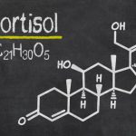 Kortyzol a tycie – czy wysoki poziom kortyzolu sprzyja nadwadze i otyłości?